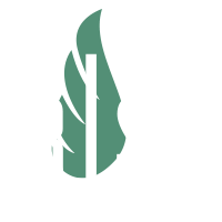 Rise St Pete Logo